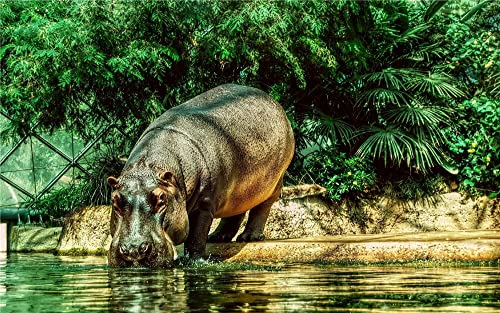 5D Full Round Drill Diamond Painting Strass Diamantstickerei Bilder für DIY Home Art Painting Dekoration - Tier Hippo 30×40cm