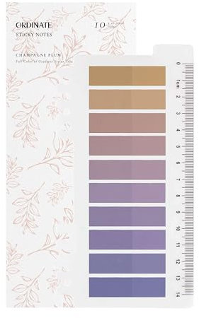 Ordinate 200 Stück Sticky Notes, Transparent Haftnotizen zum Markieren, Haftstreifen, Seitenmarkieren, Ästhetischer Haftnotizzettel, Full Color of Gradient (D-200 Stück Champagne Plum)