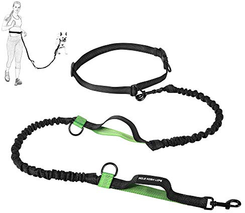 Laisse de Course pour Chien Mile High Life Ajustable, réfléchissante, avec Deux poignées rembourrées et Un élastique Durable pour Les Petits, Moyens et Grands Chiens (Vert)