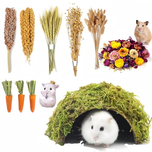 RE RELIURE Hamsterkäfig Zubehör, natürliches Hamsterspray Hamster-Kaufutter inklusive Getreide, Hamsterstreu und Lebensraum Dekoration, Hamsterzubehör, Rennmausfutter
