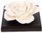 FOMIYES 3St Diffusor Rosen frische Blumen Wohnkultur Diffuser für ätherische Öle für zu Hause Pflanzendekor kabelloser für ätherische Öle Luftverteilerdekor Wagen