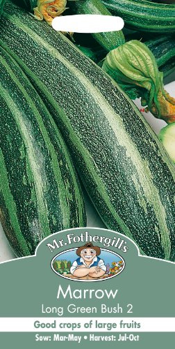 Mr. Fothergill's Marrow Long Green Bush 2 Seeds