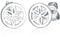 Elli Ohrringe Damen Blume Ornament Filigran in 925 Sterling Silber