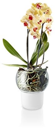 EVA SOLO | Orchideentopf 15cm Frost | Selbstbewässernder Orchideentopf | Frosted Glass