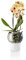 Eva Solo Vaso per orchidee, con sistema di irrigazione automatico, in vetro/nylon, Ø 15 cm