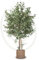 Maia Shop | Olivier Artificiel | Plantes Artificielles Interieur | Plante Artificielle | Mesures: 190 x 100 cm | Plante Artificielle Grande | Arbre Artificiel | Décoration