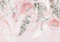 decomonkey - Papier Peint Panoramique Aquarelle Plante 350x256 cm - Décoration murale moderne – Tapisserie décorative pour chambre salon - Des roses fleurs roses feuilles fougère nature