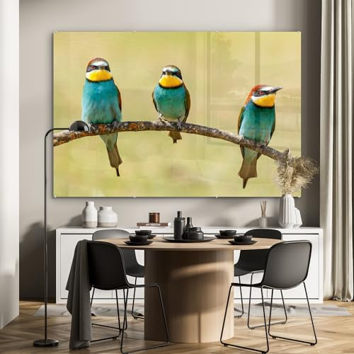 MuchoWow Glasbild Glasfoto Wandbild Bilder Deko 150x100 cm Vögel - Tiere - Bienenfresser