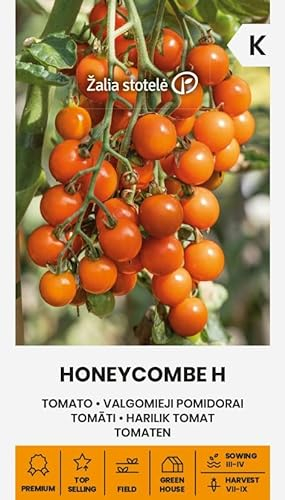 Zalia stotele | Tomaten - Honeycombe H samen | Gemüsesamen | Pflanze samen | Tomatensamen | Mittelfrühe, hochwachsende Hybride | Sehr produktive Cherrytomate | 1 Pack