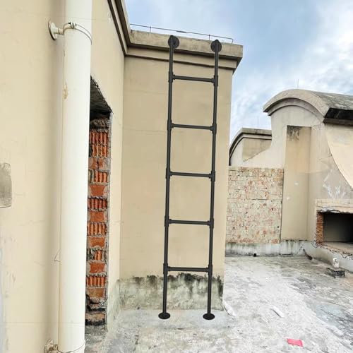 Wandmontierte Leiter, Wandmontierte Metallleiter, Fluchtleiter für Kellerfenster, Schacht, 210 cm, 220 cm, 230 cm, 240 cm, 250 cm, Universal-Kletterleiter, Feuerleiter, Tragkraft 150 kg (1 m
