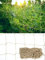 Filet de Treillis de Ficelle de Jute Reagia Filet de Support de Plantes grimpantes Robuste pour Les Plantes de Vigne de Jardin en Plein air et la décoration Murale (2 x 3 m / 78,7 x 118,1 Pouces)
