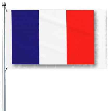 Bandiera francese Stampa Bandiera decorativa Giardino Stagionale Vacanze di Natale all'aperto Piccola decorazione per la casa su un lato