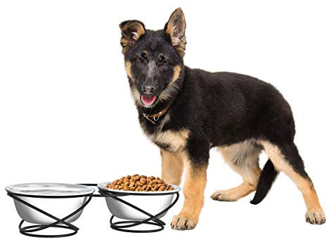 PETMAKER Cuencos elevados de acero inoxidable para alimentos y agua con soporte decorativo de 3.5 pulgadas de alto para perros y gatos, 2 cuencos, estación de alimentación elevada de 40 onzas cada uno
