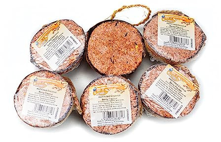 Chubby Coconut Halves Topped with Berry, Bird Feeder Coconut Shells, for Wild Birds, Suet for Blackbirds, Woodpeckers, Starlings & Sparrows (6 Pack)