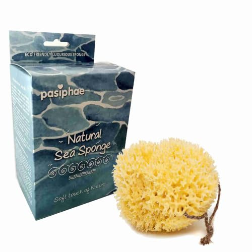 Pasiphae Éponge de mer pour bébé, gant de toilette jaune doux pour le bain des bébés et des enfants – 100 % naturel, jaune nid d'abeille, bio – Cadeaux de grossesse pour garçon et fille, taille 18