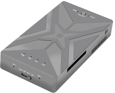 Boîtier en aluminium M.2 NVME SSD RAID avec PM R0 R1 LG RAID Modes TYPE-C USB3.2 GEN2X2 20 Gbps
