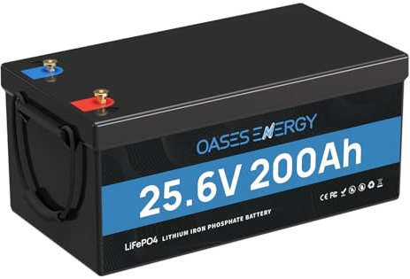 Batería LiFePO4 de 24 V y 200 Ah con 200 A BMS y protección de baja temperatura, 4000 – 15000 ciclos, batería de litio de 24 V 5120 Wh para autocaravana, kit de panel solar, camping, barcos