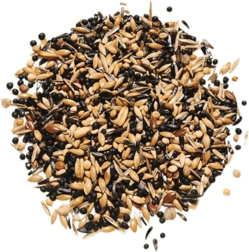 Countrywide Goldfinch & Siskin Bird Seed Mix 20kg - Premium Finch Food - Small Oil & Protein-Rich Seeds Including Nigerseed - Suitable For Aviary, British Finches and Wild Birds