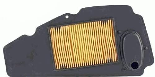 Filtro aria, filtro aria, 17210-KSV-J02, per Honda NSS 250 A X Forza 2005-2007