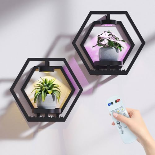 Frame Wall Plant Stand Indoor, Metal Wall Planters Holders with Remote Grow Light, Picture Frame Plant Shelves Wall Decor for Bedroom Bathroom Living Room Home Office