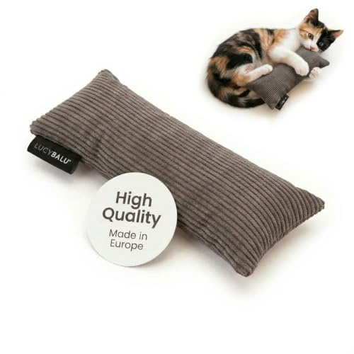 LucyBalu® Kick Bunny Katzenkissen Catnip Cord – Anthrazit | Kickerkissen mit Katzenminze-Füllung, robust vernäht, fördert Jagdinstinkt & Beschäftigung