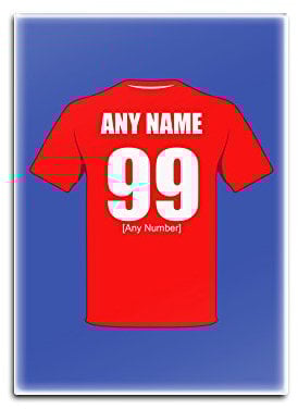 Personalised Gift - Bristol City Glass Fridge Magnet (Football Club Design Theme, Colour Options) - Any Name/Message on Your Unique - The Robins