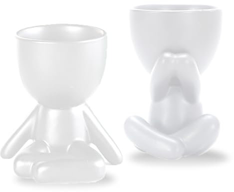 WoRuyKot Paquet de 2 Plantes de Cactus Succulentes Plantes Grasses en Céramique Noire, Petites Fleurs Bonsaï Artificielles Mignonnes en Pot pour la Décoration du Bureau et du Salon (Blanc 2)