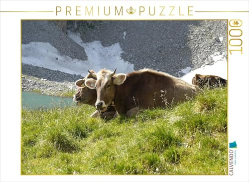 CALVENDO Puzzle Tiroler Braunvieh wiederkäuend auf der ALM | 1000 Teile Lege-Größe 64 x 48 cm Foto-Puzzle für glückliche Stunden