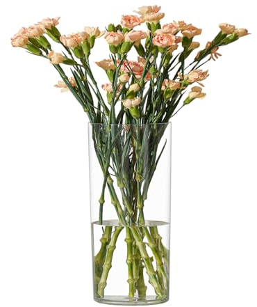 RosPynn Blumenvase, Acryl-Zylinder, 20 cm hoch, transparente Vase für Tafelaufsätze, Hochzeitsdekoration, Heimdekoration, Nicht zerbrechlicher Kunststoff, 10 x 20 cm hoch, rund, transparent