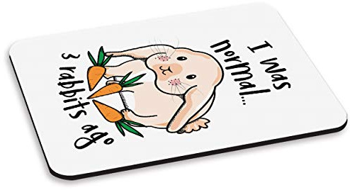 Gift Base I Was Normal 3 Lapins Ago Tapis De Souris PC Ordinateur