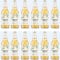 Cornish Orchards Gold Cider - Fruity Apple Taste | Lightly Sparkling | Fresh Pressed Apples | Hand Blended | Traditional Craft Cider | Natural Ingredients - 5.0% ABV - 12 x 500 ml Bottles