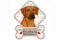 power gift - Rhodesian Ridgeback - Tierschild für die Autoscheibe mit Saugnäpfen. 44.