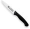 Coltello Spelucchino, Lunghezza Lama 9 cm, Acciaio Inox AISI 420 Temperato, Lama con Affilatura Conica, Finitura Satinata, Manico in Polipropilene, Design Esclusivo, Professionale