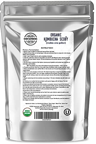Kombucha Scoby biologique - Culture de Kombucha - Scoby Kombucha