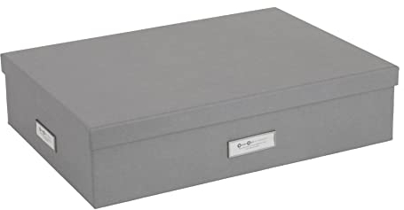 Bigso Box of Sweden JAKOB Sortierkasten mit 12 Fächern – Aufbewahrungsbox mit Deckel und Griff für Accessoires, Bürobedarf, Kosmetik usw. – Fächerbox aus Faserplatte und Papier – hellgrau