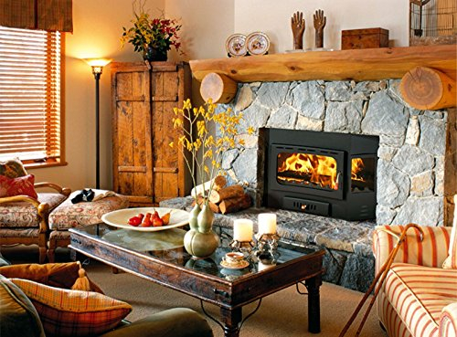 Holzofeneinsatz Einsatz moderner Multi-Kraftstoff eingebauter Kamin Prity А