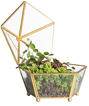 Terrarium, Vintage, Kupfergold, kleine Stellfläche, Modern, durchsichtig, Glas, fünfeckig, Geometrische Form, Pflanzgefä, Kakteen, Moss, Farm mit Schwingdeckel