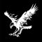5 Stück Adler Auto Aufkleber, Auto Dekorativer Aufkleber Lustige Tier Simulation Adler Auto Windschutzscheiben Aufkleber Wasserdicht Kreative Emblem Sticker Motorhaube Sticker Selbstklebend,Weiß