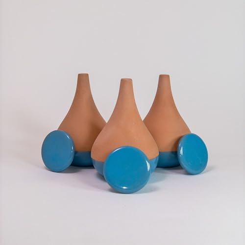 Alppos 3 Oyas a Planter en Terre Cuite de 300 ML en Couleur - avec Couvercle- Goutte a Goutte pour Plante d'interieur - ollas (Bleu)