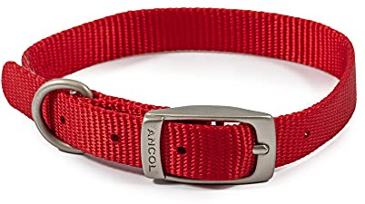 Viva Nylon Buckle Collar Red 12mm X26-31cm Sz2