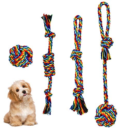 Pinsheng 4 Pezzi Cotone Giocattoli di Corda per Cani, Set di Cane Resistenti Giochi, Giochi per Cani Cucciolo da Masticare Lanciare Tirare Prendere, Pulizia dei Denti per Cani(4 Forme)