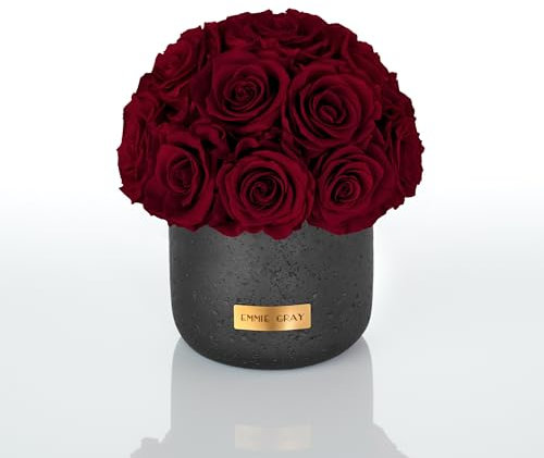EG EMMIE GRAY Black Solid Infinity Collection - Traumhafte Infinity Rosen, 1-3 Jahre haltbare Rosen, Betonvase mit echten, konservierten Rosen, edle Premiumrosen - Größe S (Burgundy)