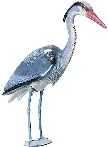 Heissner Reiher mit Füßen