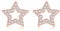 Estrellique Small Zirconia Stud Silver Earrings, 925 Sterling Silver Stud Earrings, Star Stud Earrings for Women Girl, Hypoallergenic Cartilage Sleeping Stud Earrings, 8mm Rose Gold Stud Earrings Gift