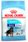 Royal Canin Maxi Junior, 1er Pack (1 x 1 kg)