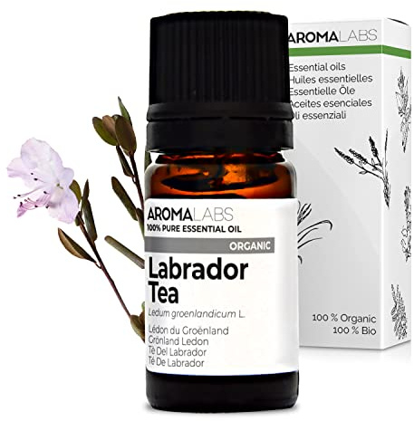 BIO - Labrador Tea Essential Oil - 5mL - 100% Pure, Natural, Chemotyped and AB/Cosmos Certified - AROMA LABS (French Brand)