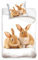 Carbotex Wende-Bettwäsche-Set mit Hase 135x200 80x80 Baumwolle Bettzeug Häschen Kaninchen