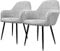 ECD Germany 2er Set Esszimmerstühle mit Rücken- und Armlehnen, Grau, Küchenstühle mit Samtbezug, Polsterstühle mit Metallbeinen, Ergonomische Stühle für Esstisch, Wohnzimmerstühle Esszimmerstuhl