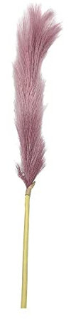 Generico 4 PZ Fiore Artificiale Stelo di Pampas Colore Rosa Antico 120 cm