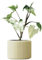 OSLO | Blumentopf aus BETON | KEIN 3D DRUCK | Übertopf | Pflanzenhalter | Blumenvase | verschiedene Farben | verschiedene Größen | EDITION ONE | LIATH® (L | 14cm, Sunshine)